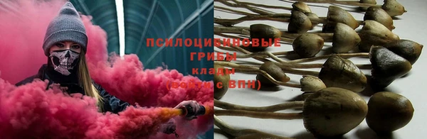a pvp Армянск