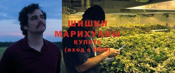 прущие крисы Арсеньев