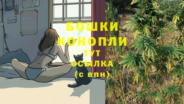 прущие крисы Арсеньев