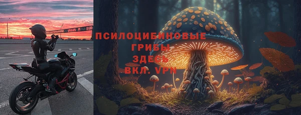 а пвп мука Аркадак